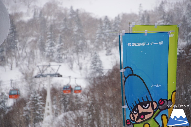 札幌国際スキー場 Welcome back POWDER SNOW !! ～パウダースノー復活～